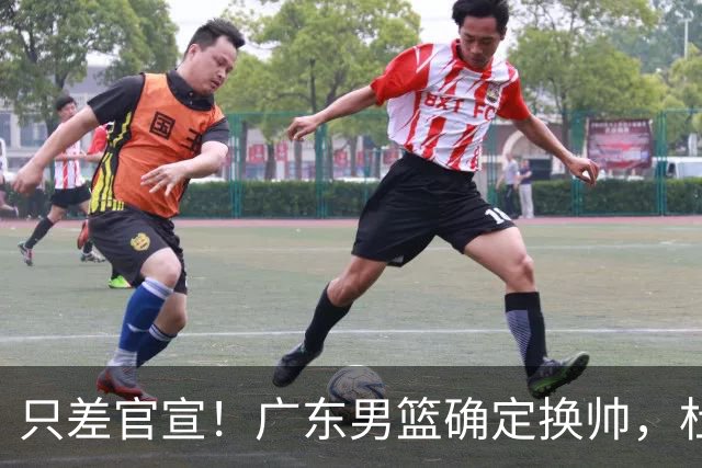 只差官宣！广东男篮确定换帅，杜锋正式下课，外籍教练团队即将加盟