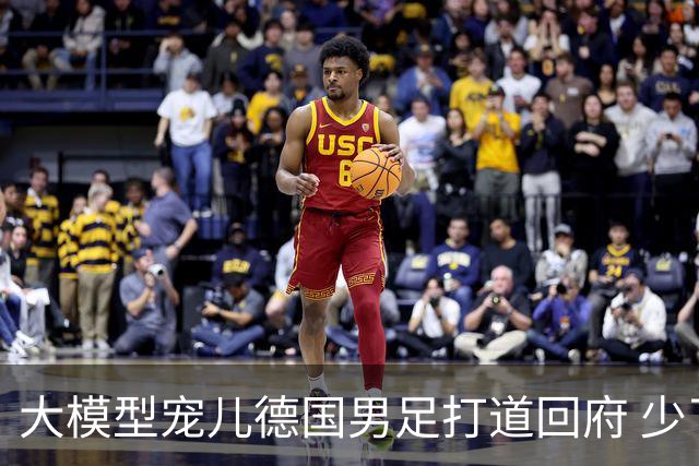 大模型宠儿德国男足打道回府 少了人性观察数据等于废纸