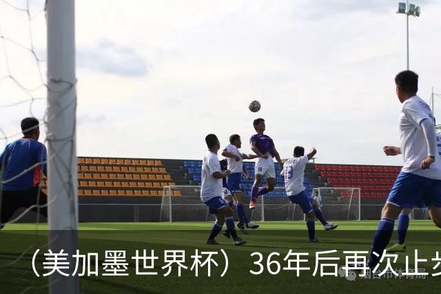 （美加墨世界杯）36年后再次止步16强 巴西距“六星之梦”仍遥远